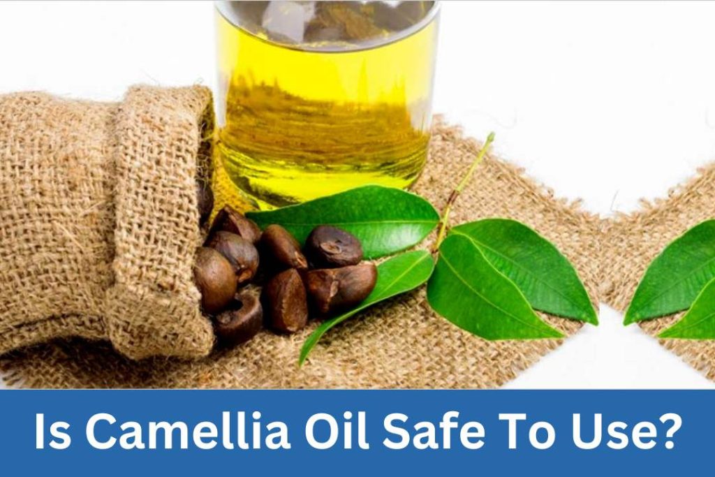 Is Camellia Oil Safe To Use?