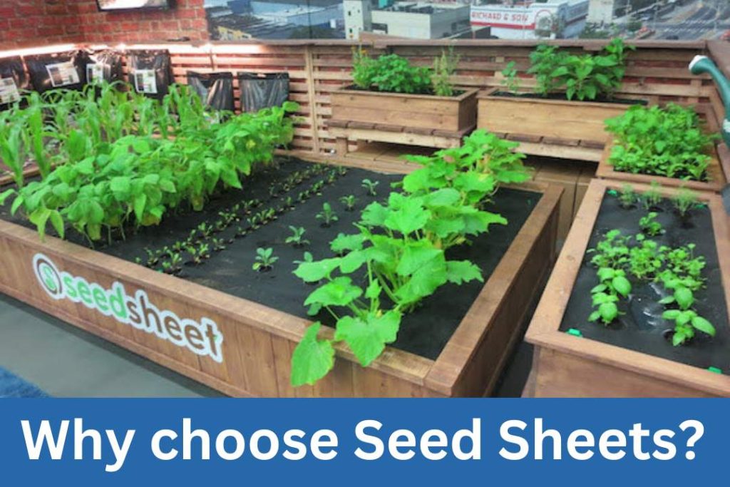 Why choose Seed Sheets?