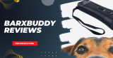 BarxBuddy Reviews 2023: Does It Really Work?