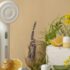 Duo Cover Microwave Reviews: Everything You Need to Know Before Buying